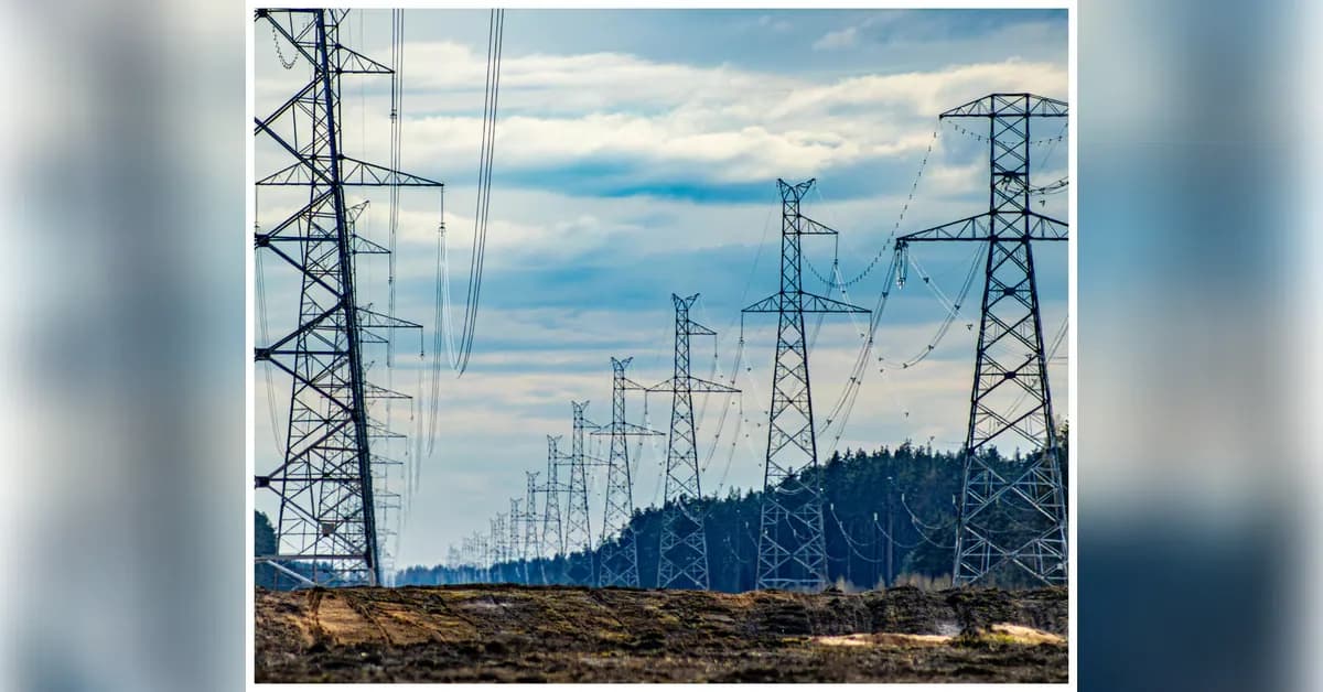 Power Grid Q4 Results: Revenue Down 1.3% YoY, Long-term Prospects Strong