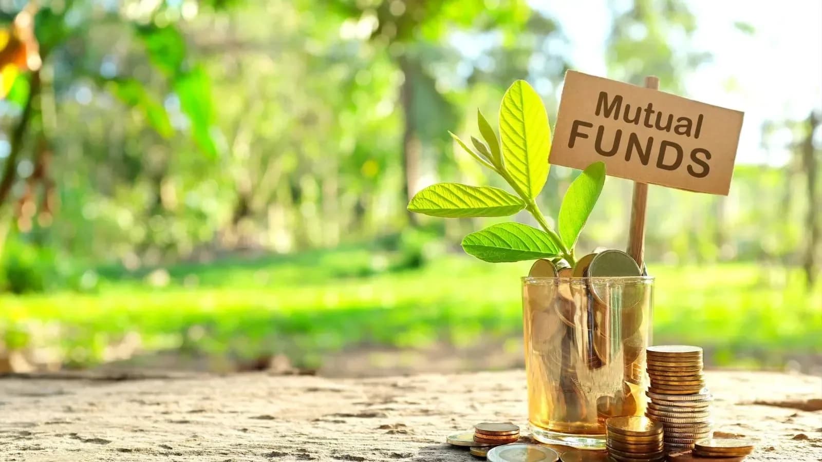 PPFAS Mutual Fund raises Parag Parikh Flexi Cap BER from Aug 25
