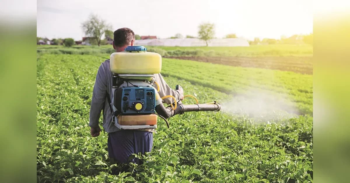 Punjab urea stocks sufficient despite farmer protests, Centre claims