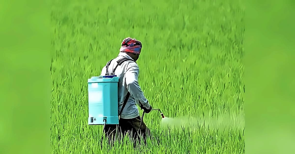 Rajasthan Claims Urea Surplus Despite Opposition Fertiliser Shortage Allegations
