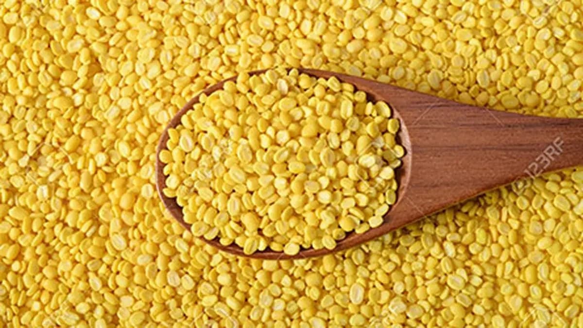 Rajasthan moong farmers sell below MSP as procurement delayed