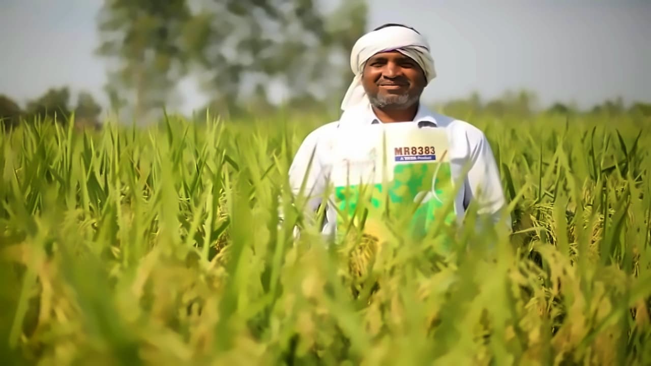 Rallis India Q4 loss narrows to ₹15 cr, declares ₹3/share dividend