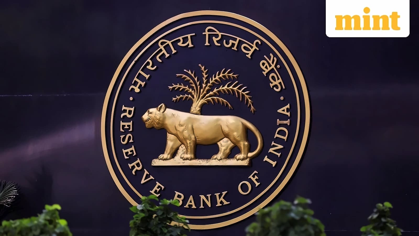 RBI tightens credit card rules, eases capital norms for borrowers