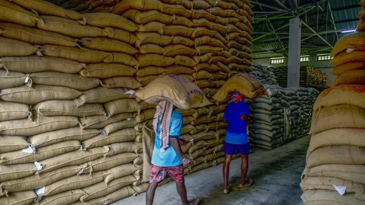 Rice exporters seek Goyal's help on China GMO allegations