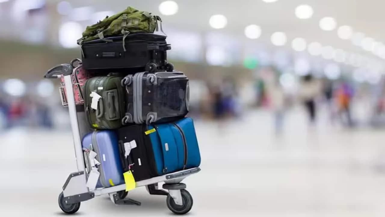 Safari Luggage Shows Market Share Gains Amid Competitive Pressure