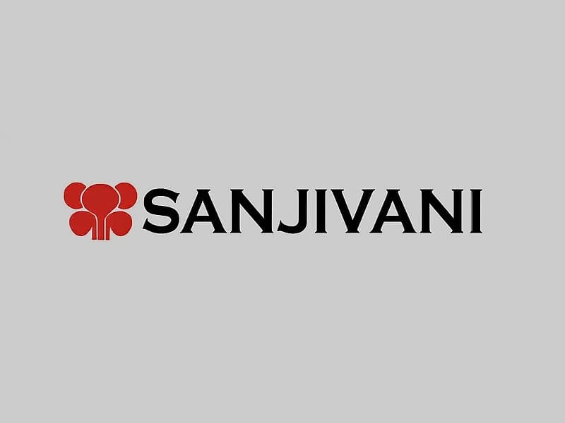 Sanjivani Parenteral Q1 profit surges 43.94% to ₹24.91 crore