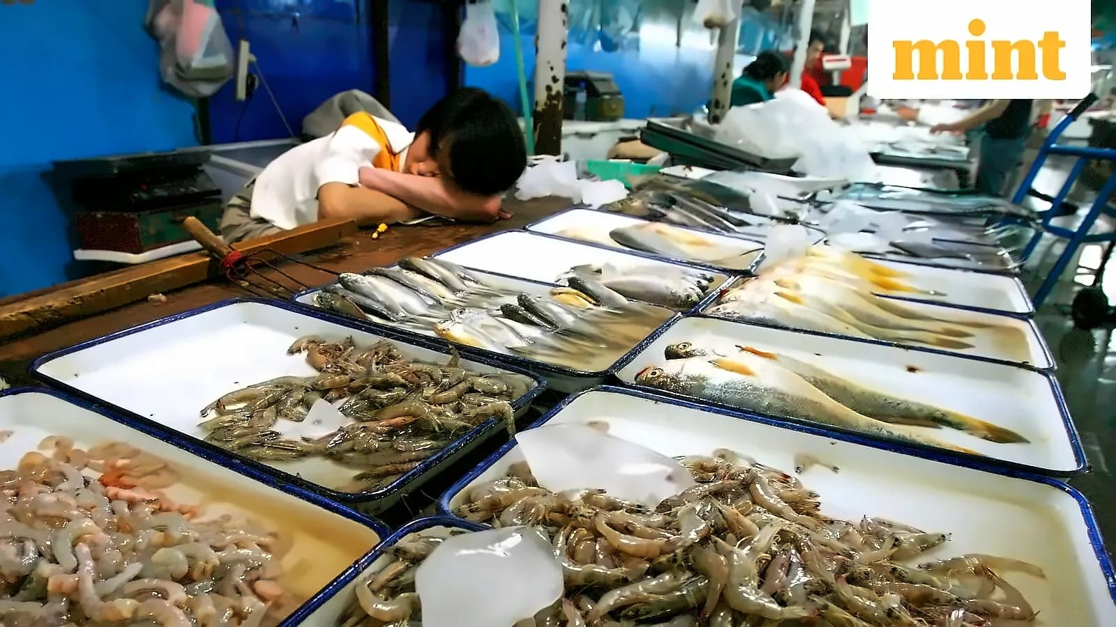 Seafood stocks surge as Gulf economies maintain stable ratings