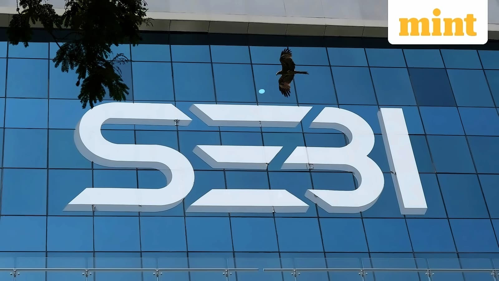 Sebi seeks Q4 P&L data from top brokers to assess retail losses