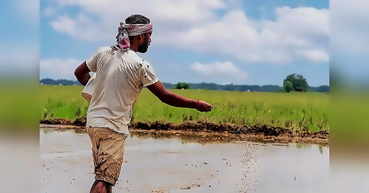Seeds Bill faces farmer rights concerns, paraquat ban sought