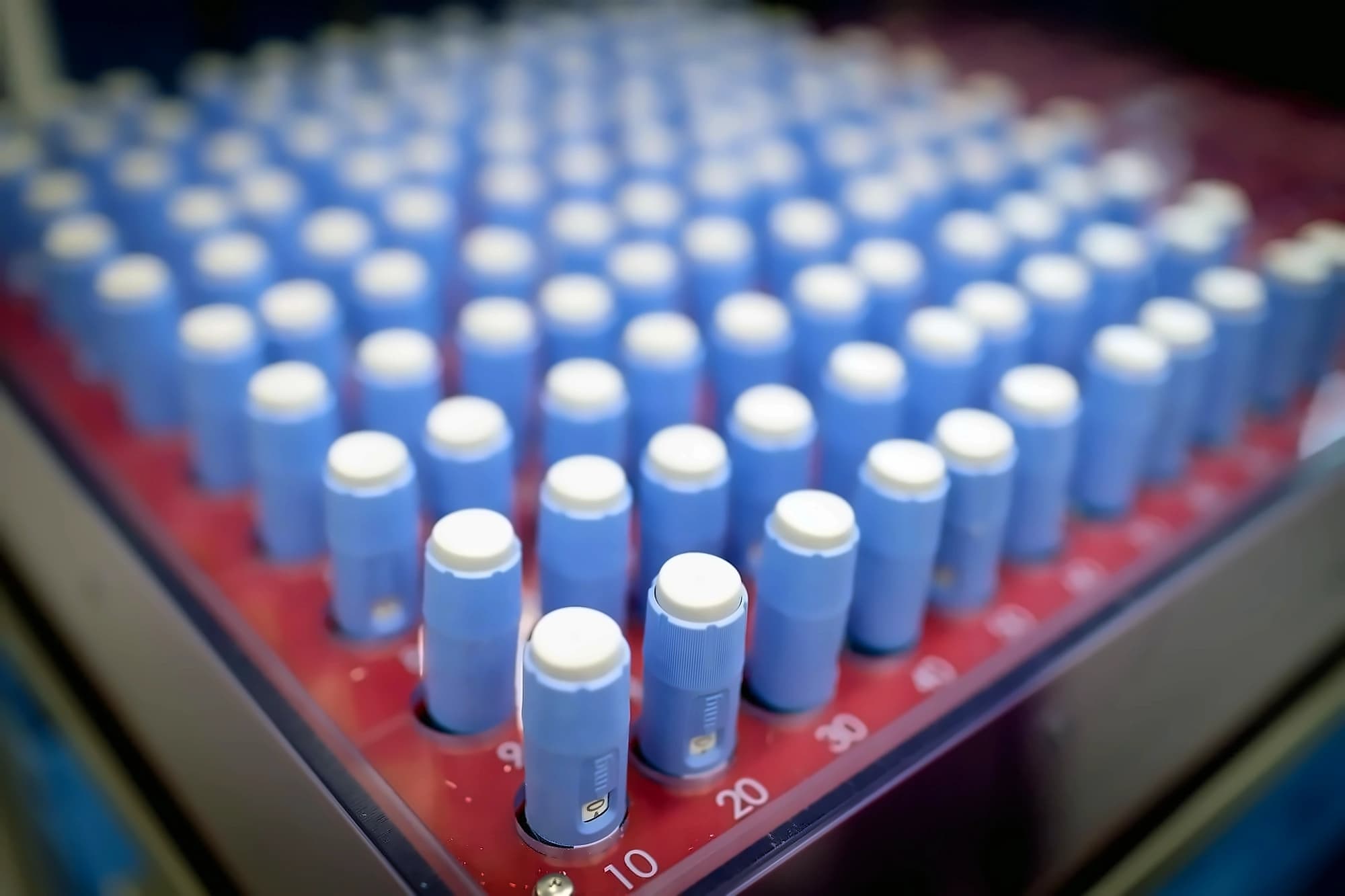 Semaglutide market settles into steady growth after patent expiry
