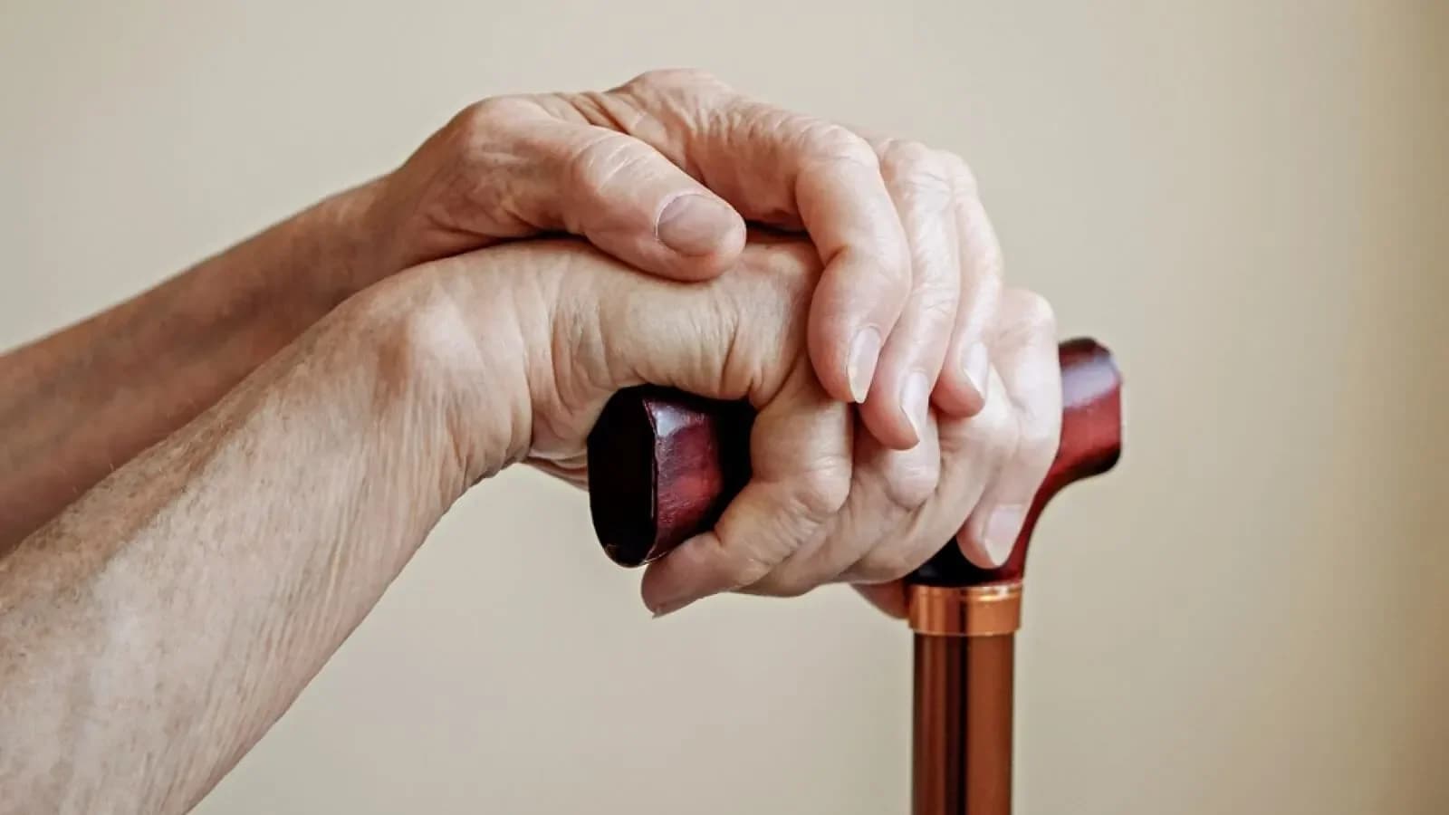 Senior Citizen Gets Tax Relief After 191-Day Appeal Delay