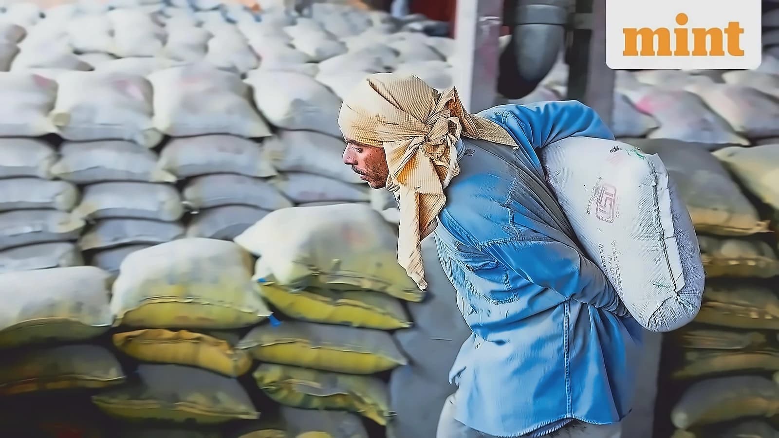 Shree Cement Q4 FY26: 11% volume growth, ₹150 dividend; Citi Buy, Morgan Stanley Underweight