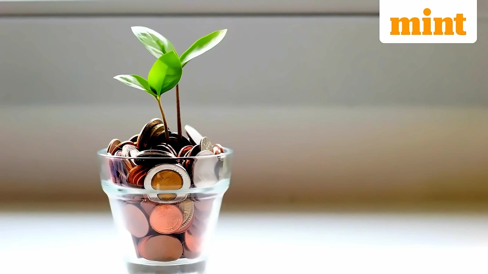 SIP Growth Slows to 10.7% Despite Record ₹32,490 Crore Contributions