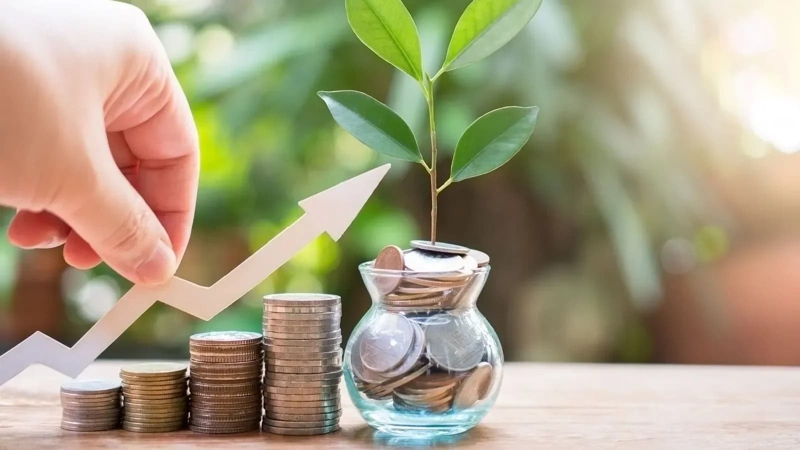 Small-cap funds show wide performance variance across time horizons