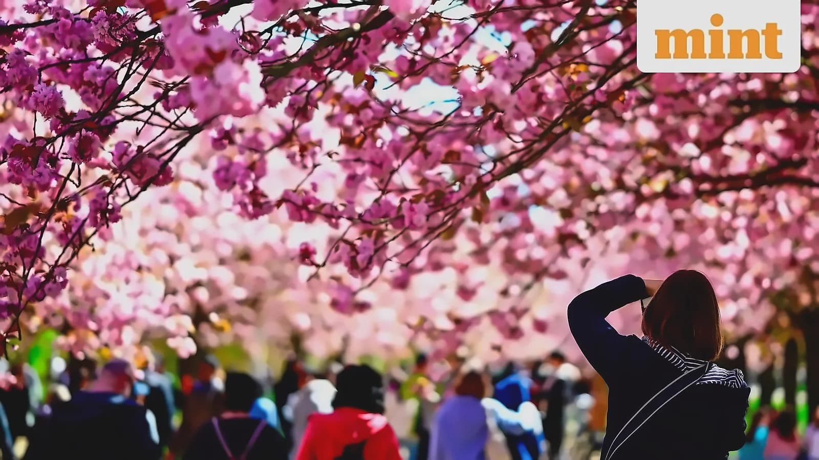 South Korea emerges as best value for ₹1 lakh budget trip