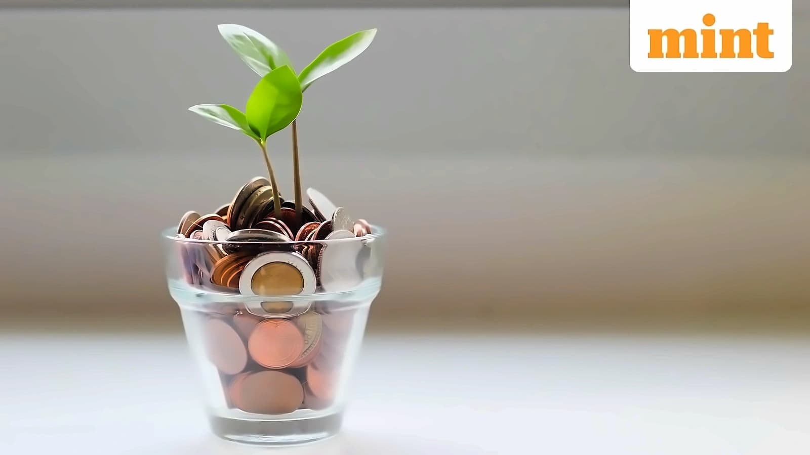Special vs Regular FDs: Key Differences & Investment Choices