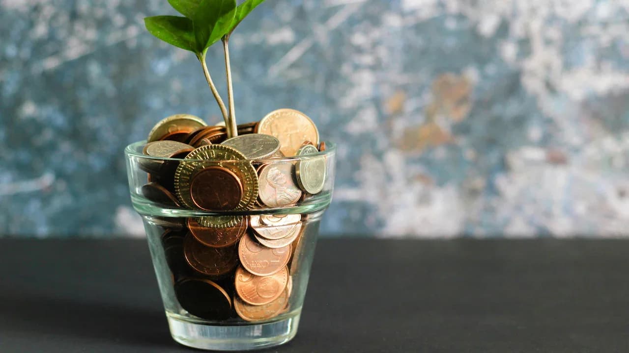 Suryoday Bank FD rates: 8.25% for regular, 8.5% for senior citizens