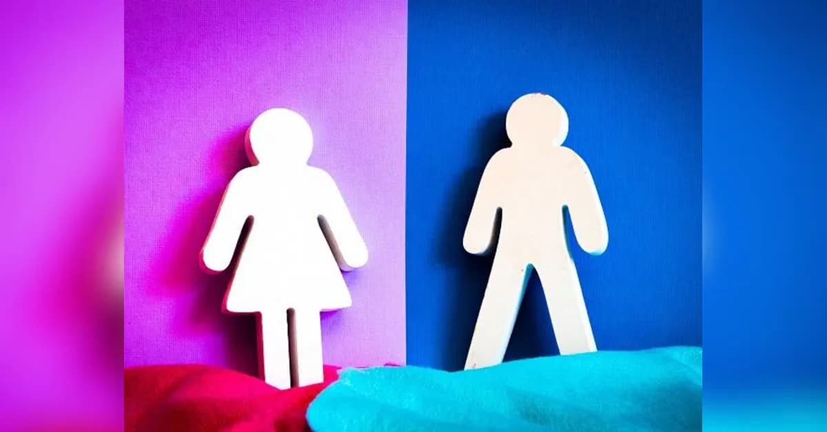 UN experts warn of AI bias and violence against women globally