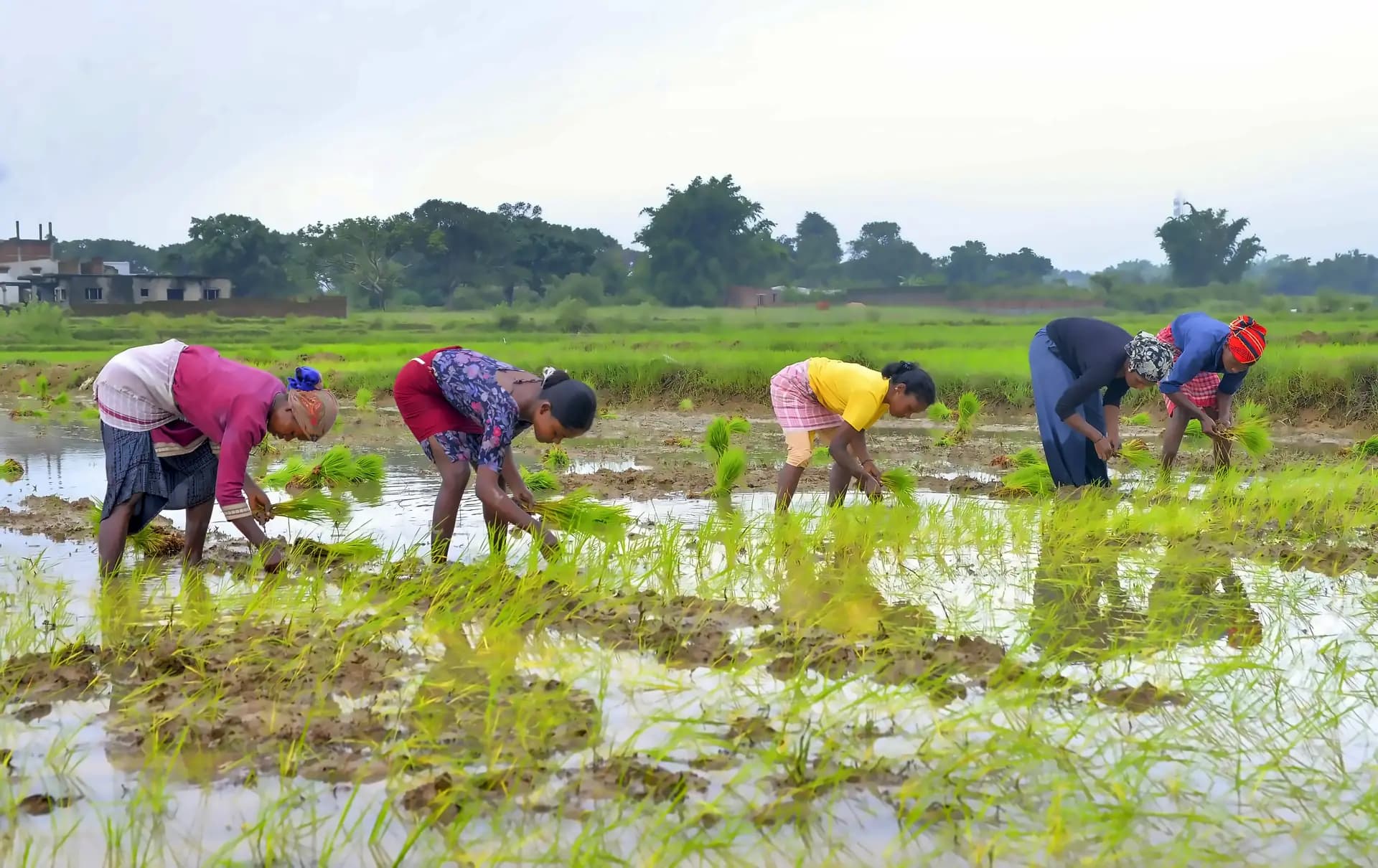 UP Revenue Code 2006: Industrial Land Framework Overview