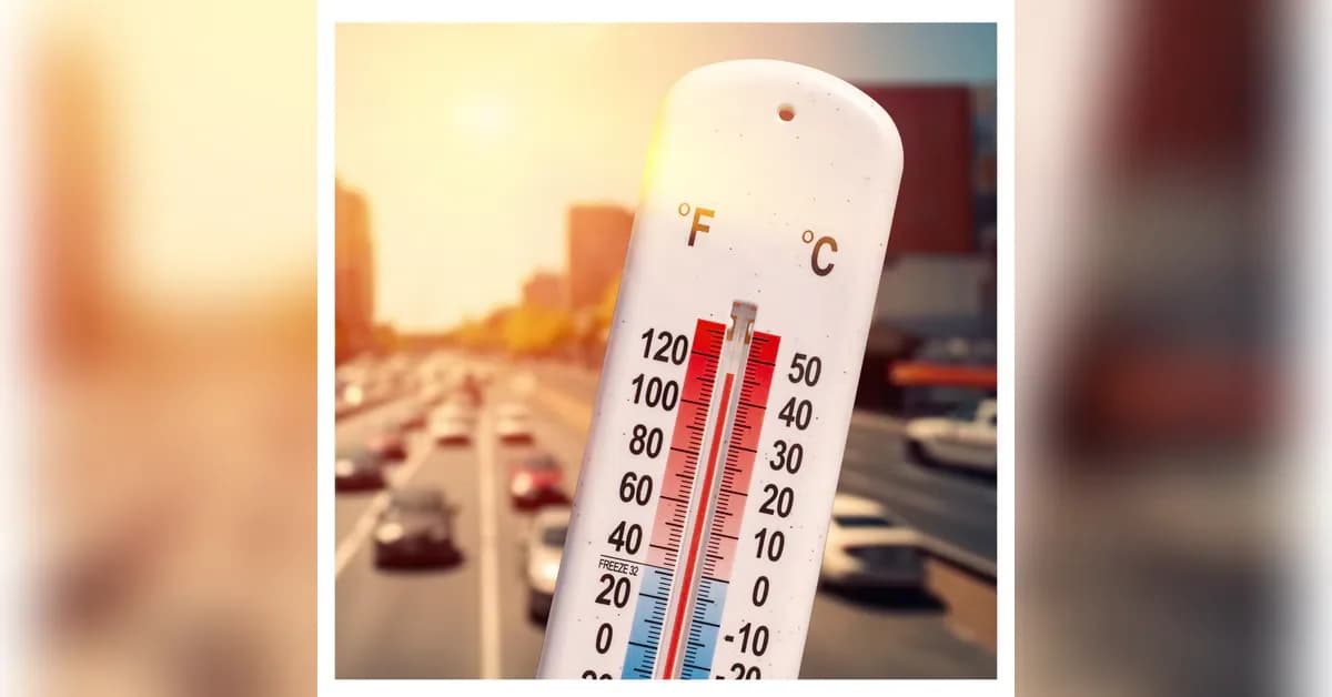 Delhi braces for brutal heatwave as urban homes fail to cool