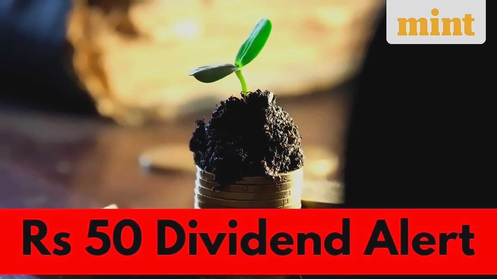 Victoria Mills Announces ₹50 Stock Dividend, Record Date Sept 19
