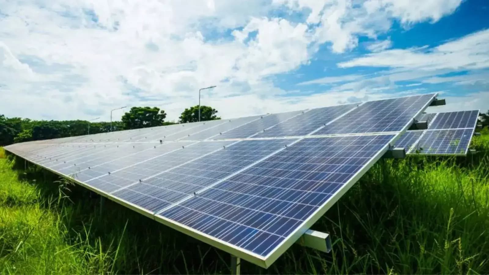 Waaree Renewable shares surge 13.5% on strong Q4 results