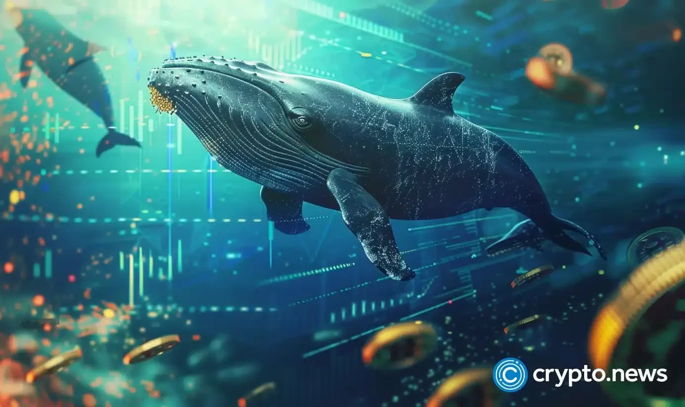 Whale Transfers $20M Bitcoin to Binance Amid Market Pressure