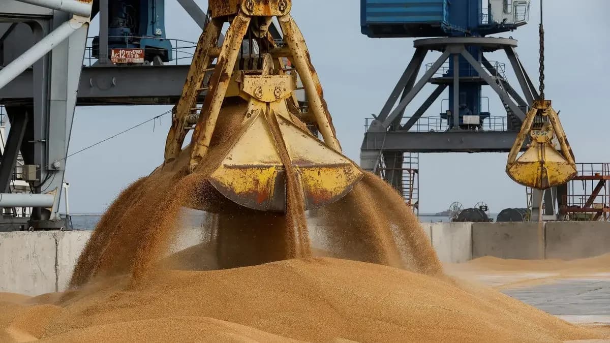 Wheat prices retreat from highs as Black Sea conflict disruptions persist