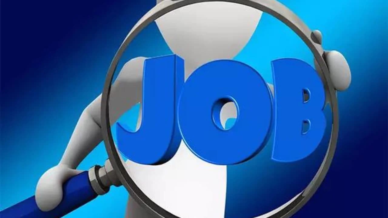 White-collar hiring jumps 12% in Feb driven by AI, IT surge