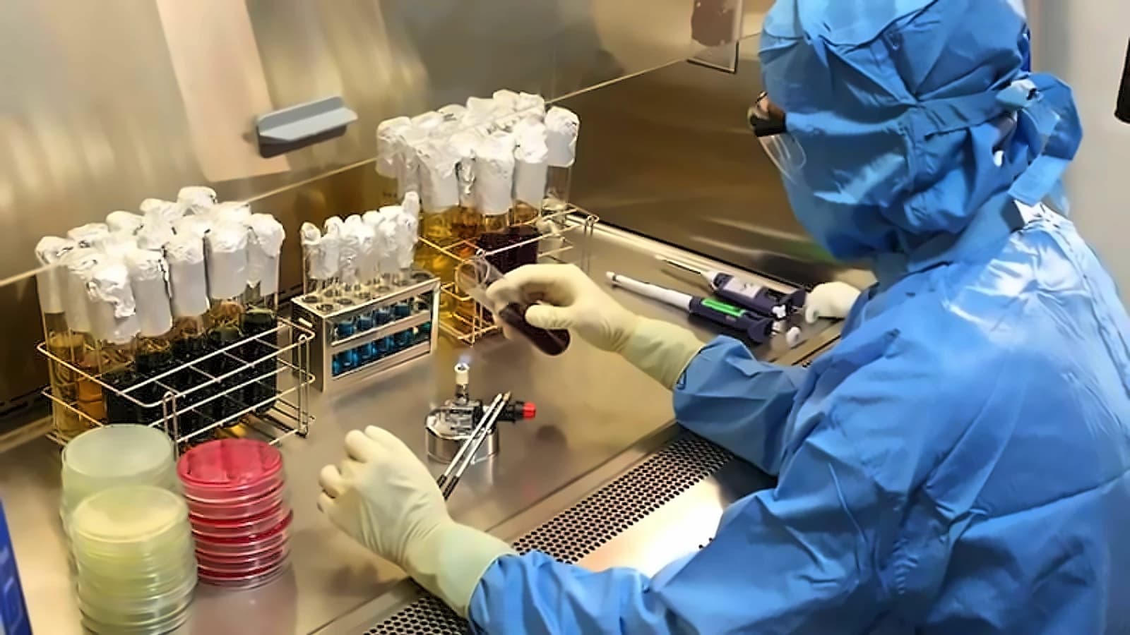 Wockhardt shares hit record ₹2,420 after US FDA approves Zaynich antibiotic