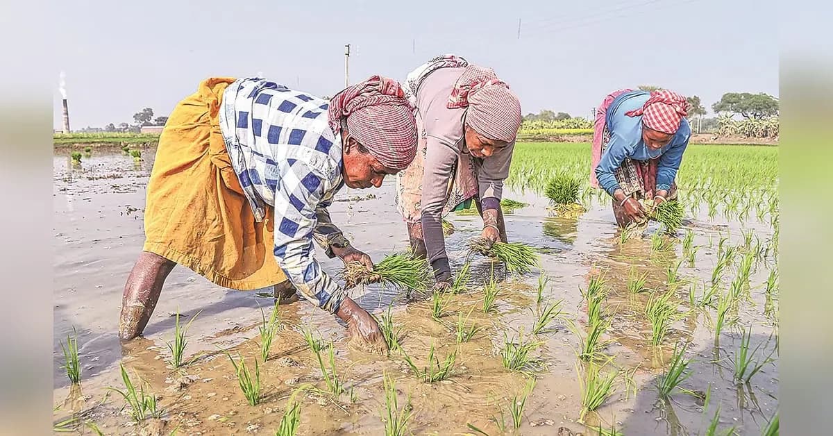 Women dominate 70% of new e-Shram registrations in FY26