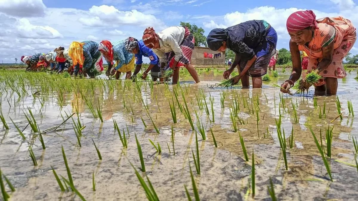 Women's farm workforce rises to 64% but land control lags at 11.72%