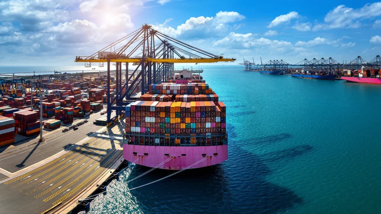 WTO Warns Trade Reforms Needed to Avoid 5% GDP Hit by 2050