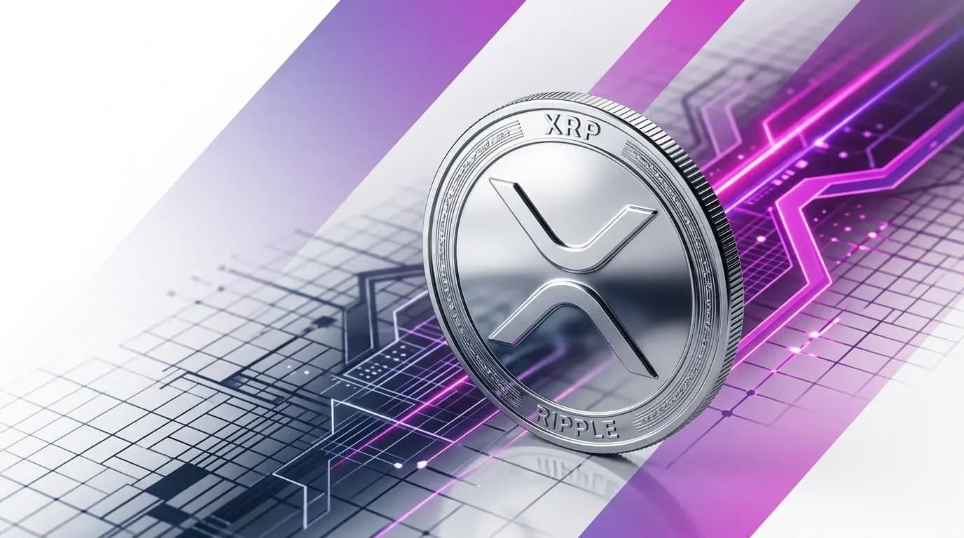 XRP Network Activity Plunges 80% as Crypto Stocks Rally on Stablecoin Rule