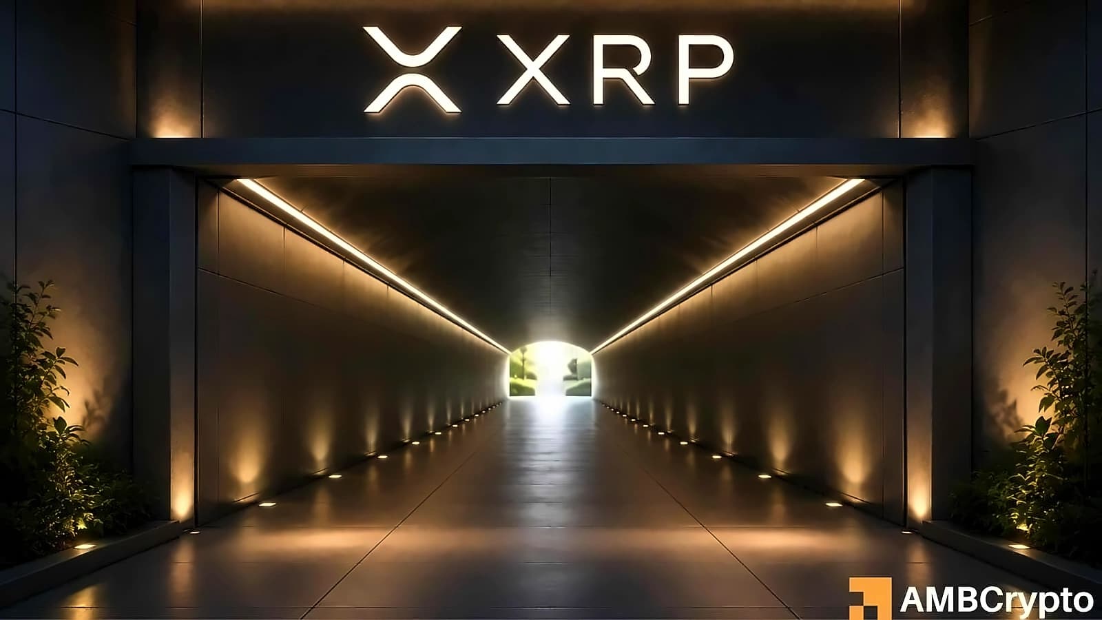 XRP Whale Holdings Hit 8-Year High at $68.5B as CLARITY Act Advances