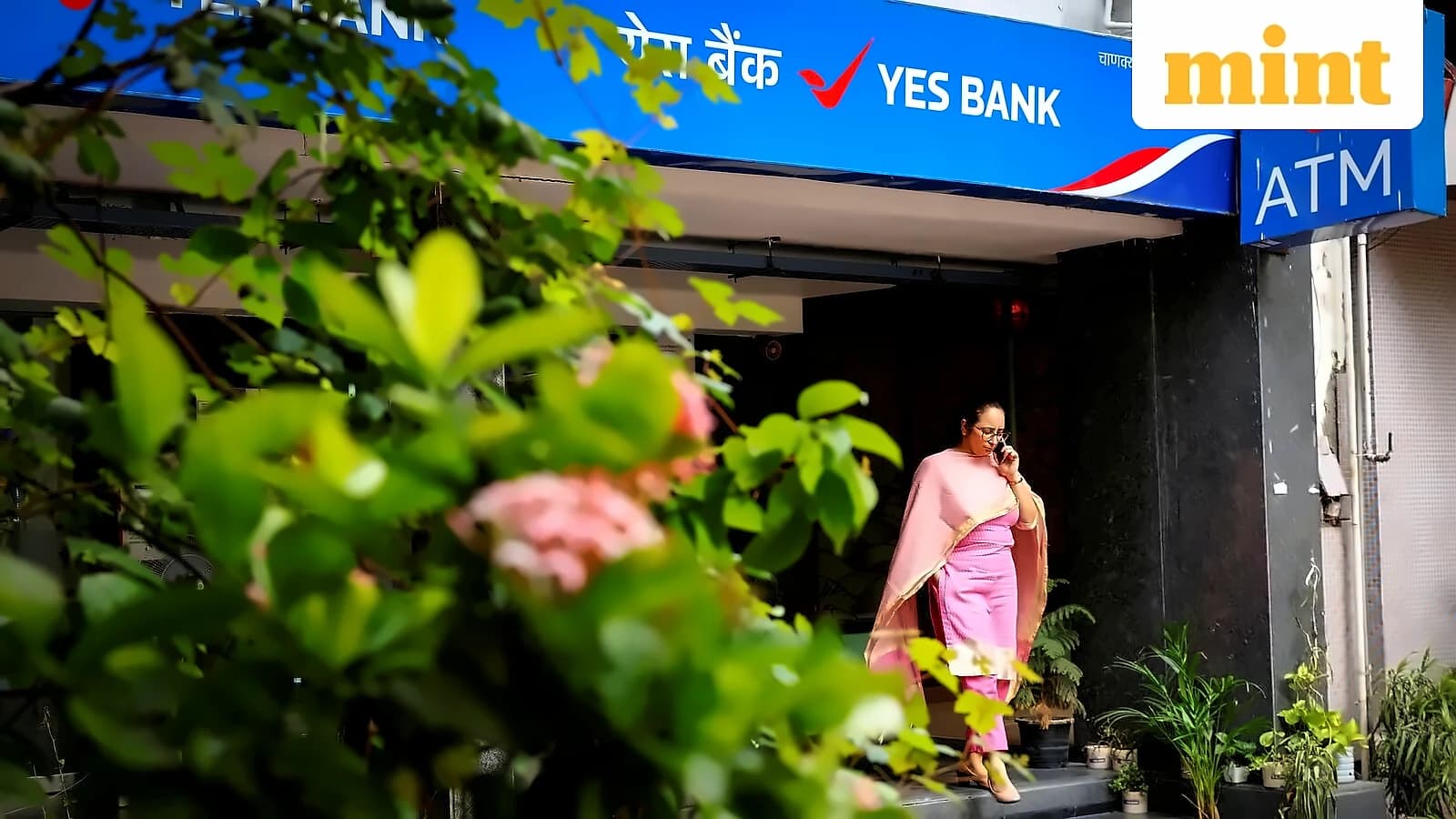 YES Bank hits 52-week high at ₹25.78, adds ₹8,662 crore market cap
