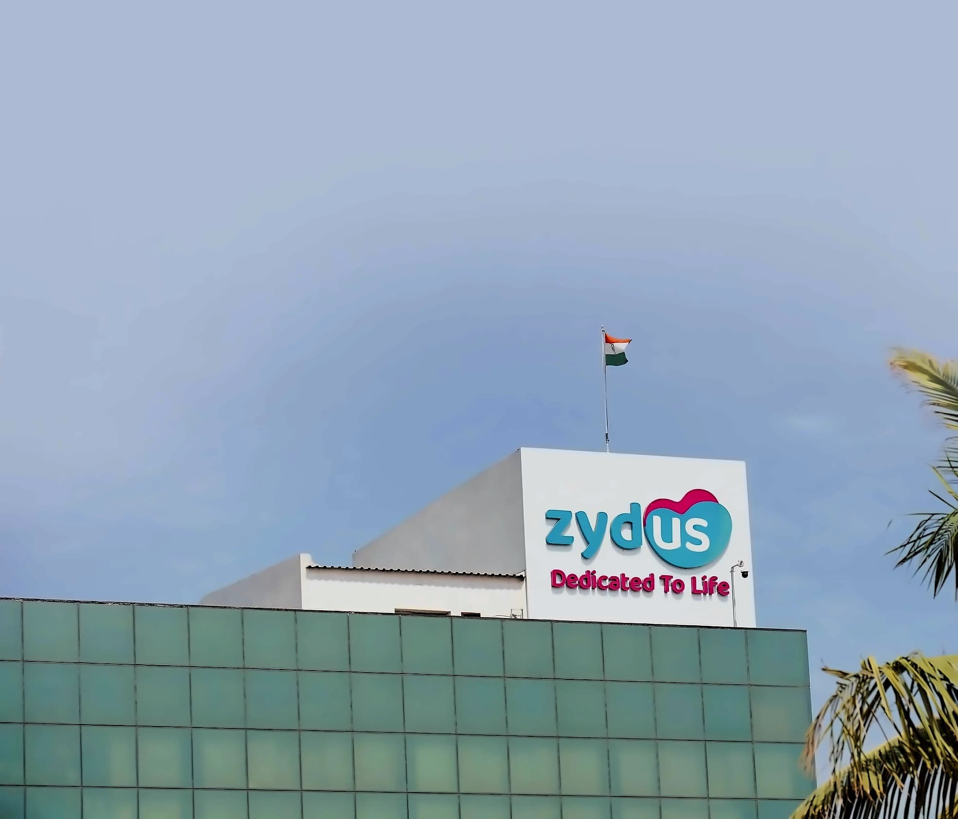 Zydus Lifesciences hits 2-year high on strong growth outlook