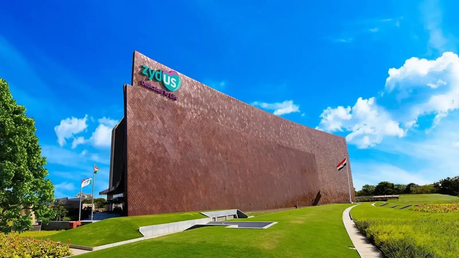 Zydus Lifesciences shares rise on US FDA approval for Ascorbic Acid