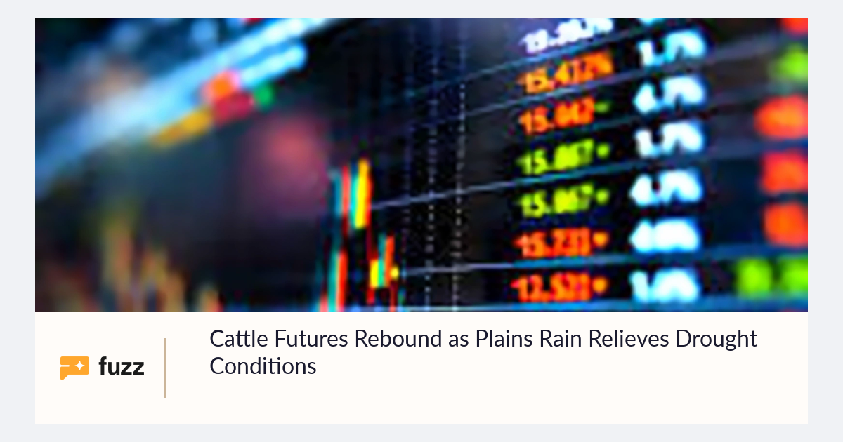 Cattle Futures Rebound as Plains Rain Relieves Drought Conditions