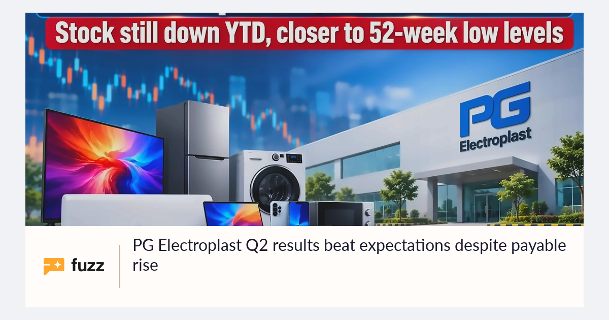 Graphically The Rise Ai PG Electroplast Q2 results beat expectations despite payable rise