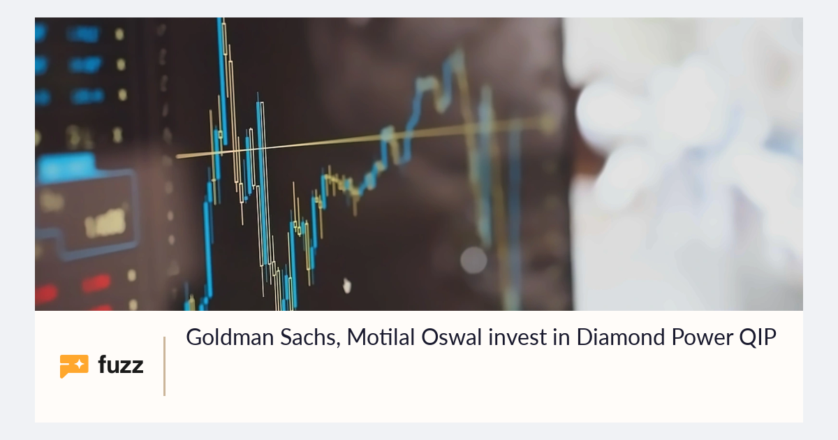 Goldman Sachs, Motilal Oswal invest in Diamond Power QIP
